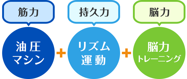筋力 持久力 脳力